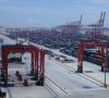 Im Hafen von Shanghai werden pro Jahr 42 Millionen Container umgeschlagen. 